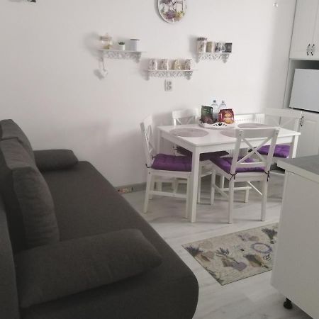 La Monica 2 - Cazare Straja - Lupeni - Retezat - Parang Apartment Exterior photo