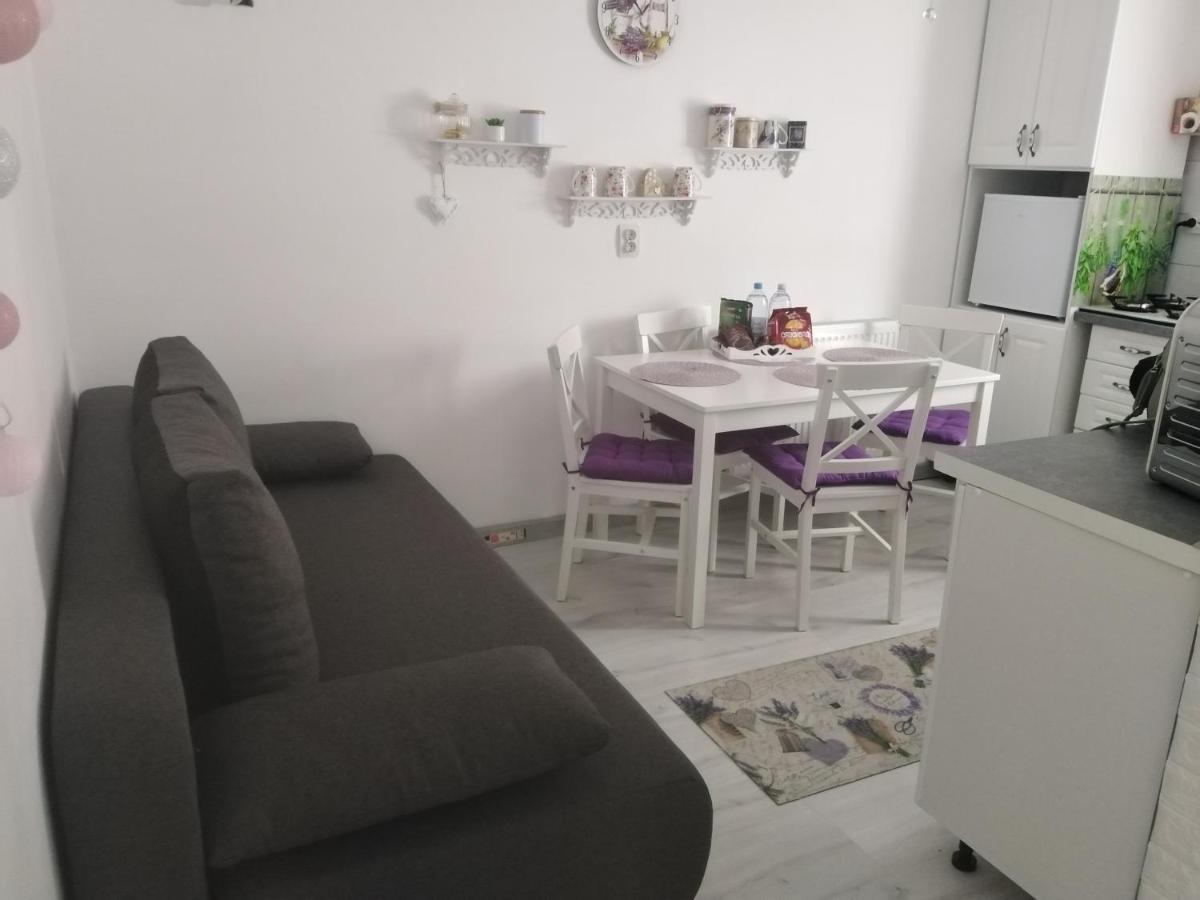 La Monica 2 - Cazare Straja - Lupeni - Retezat - Parang Apartment Exterior photo
